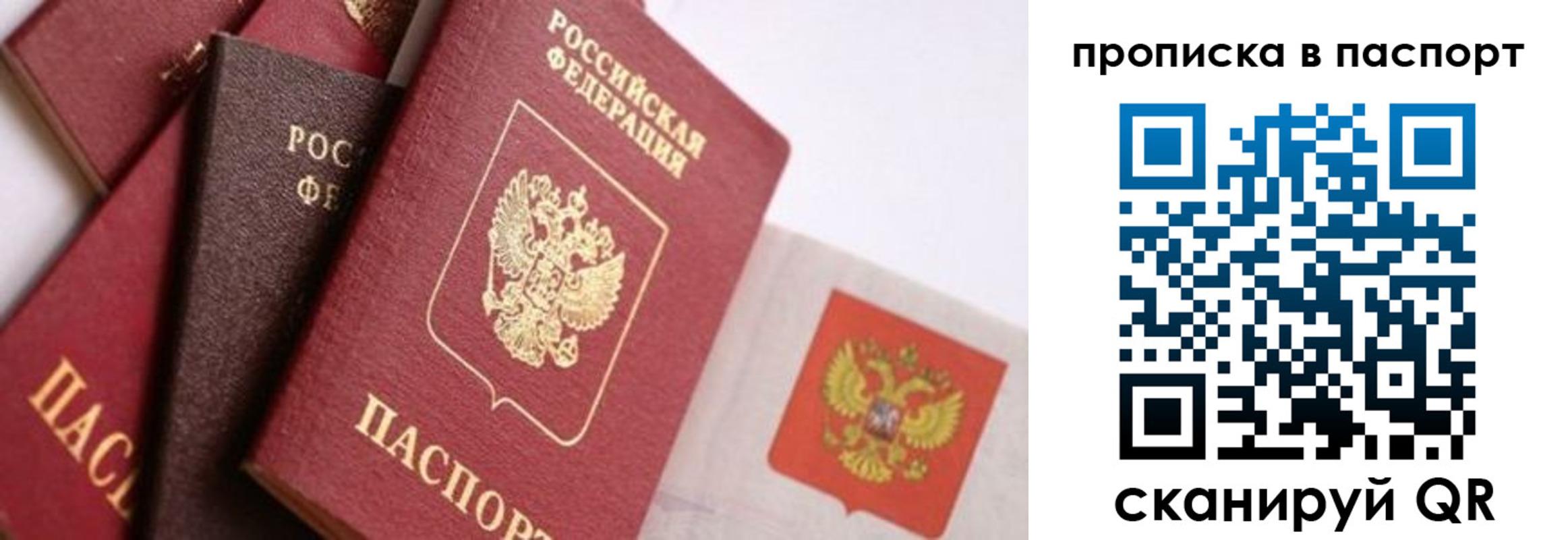регистрация для школы в Белгородской области