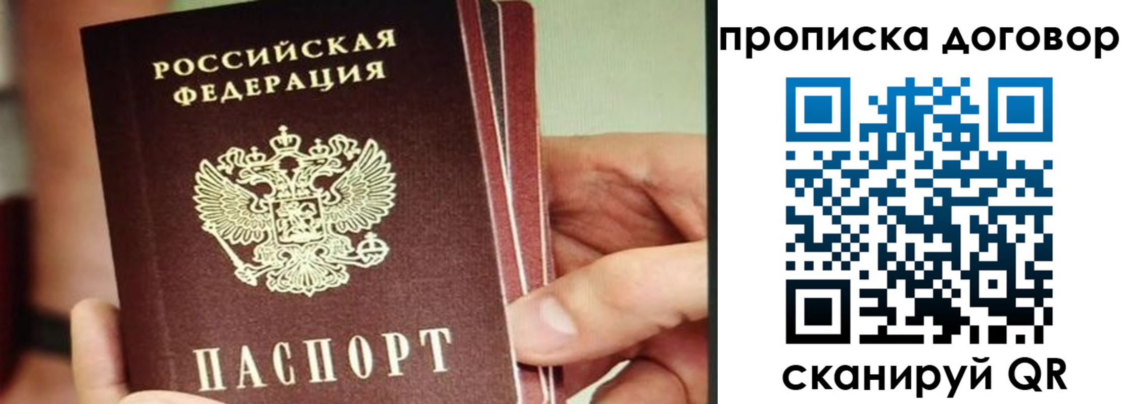 прописка в Белгородской области